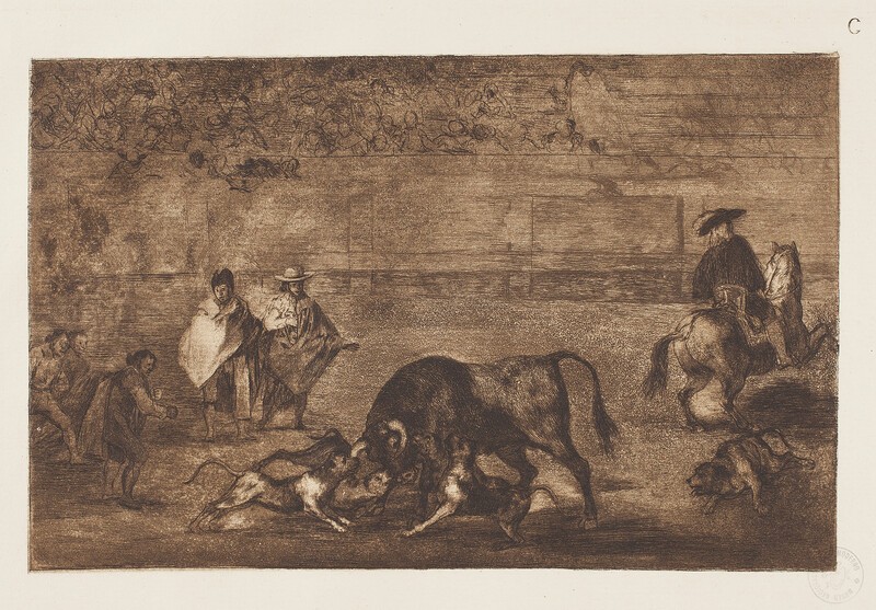 Dogs to the bull (Bullfighting C)