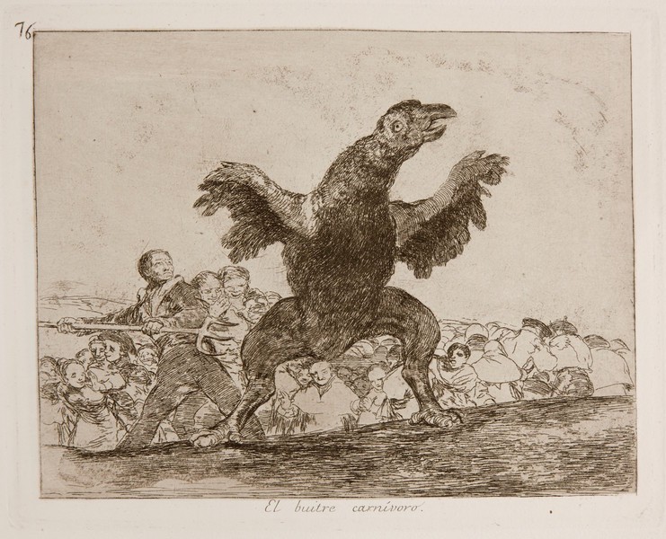 The carnivorous vulture