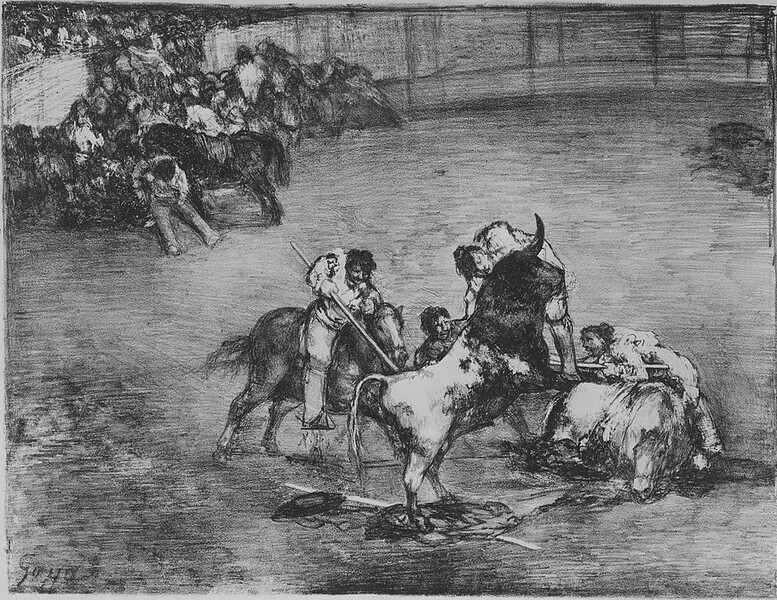 Brave bull